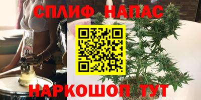 дмт Малгобек